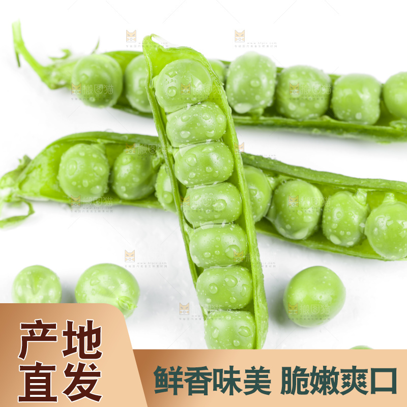 白底上放着豌豆荚