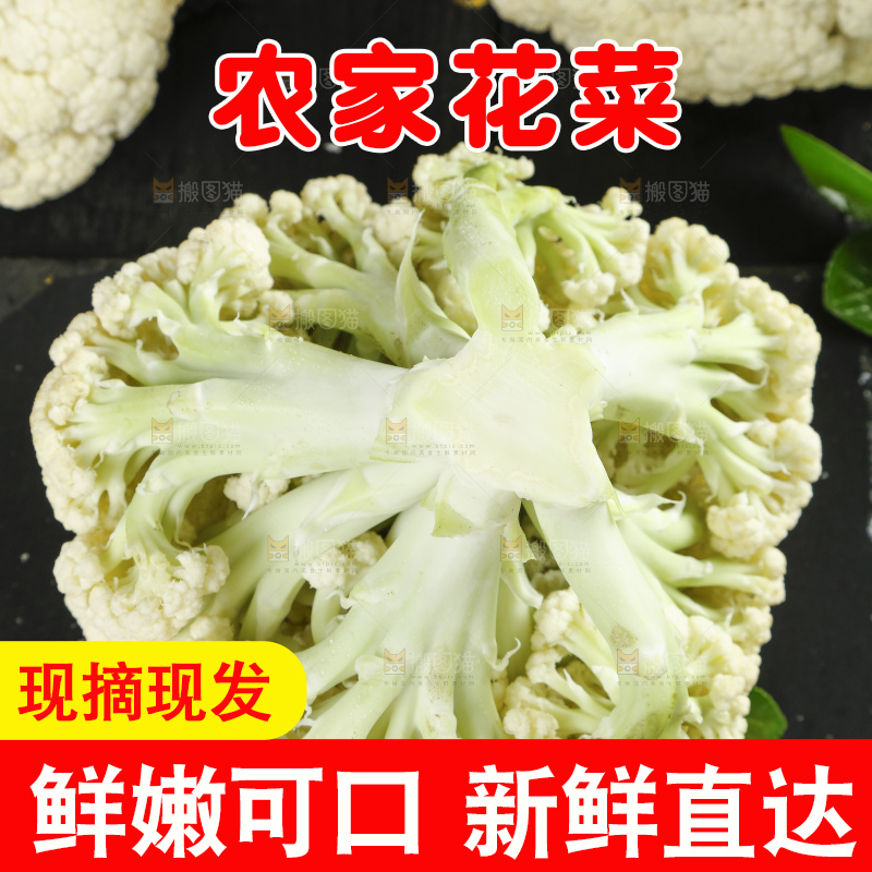 黑底上放着高山散花菜