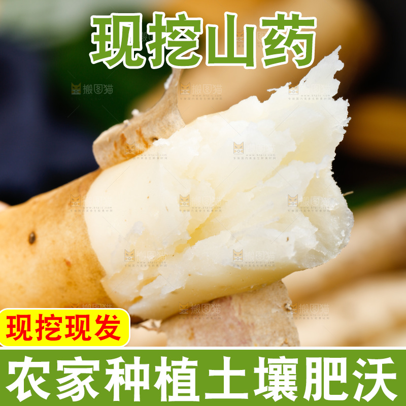 深底上摆放着铁棍山药