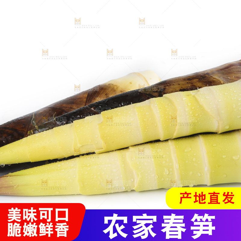 白底上放着新鲜的富阳春笋