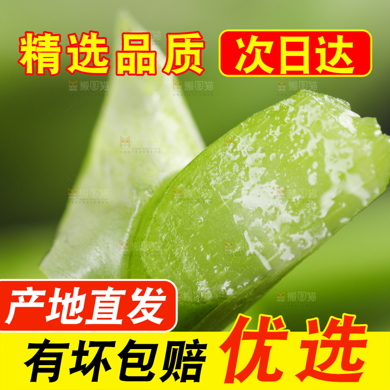 黑底上放着新鲜蒜苔