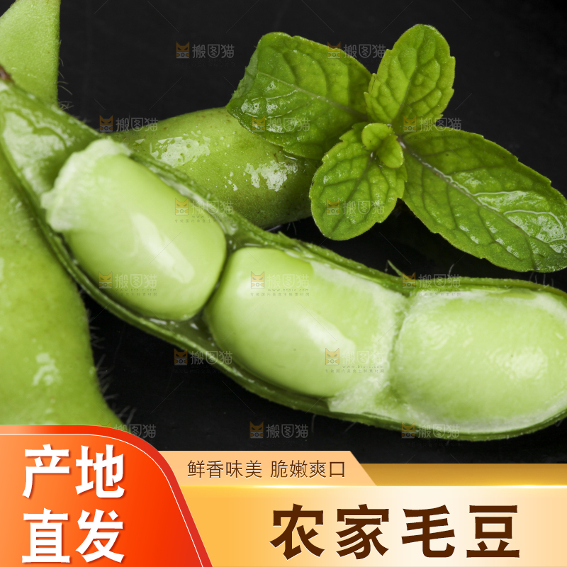 深底上放着新鲜毛豆