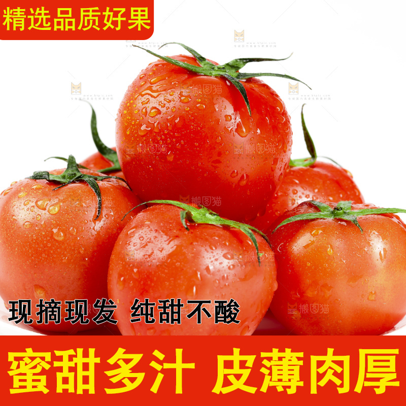 碟子里的西红柿