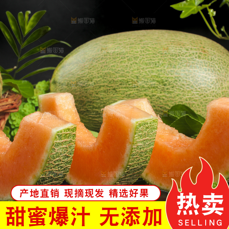 黑底上放着切开的西州蜜25号