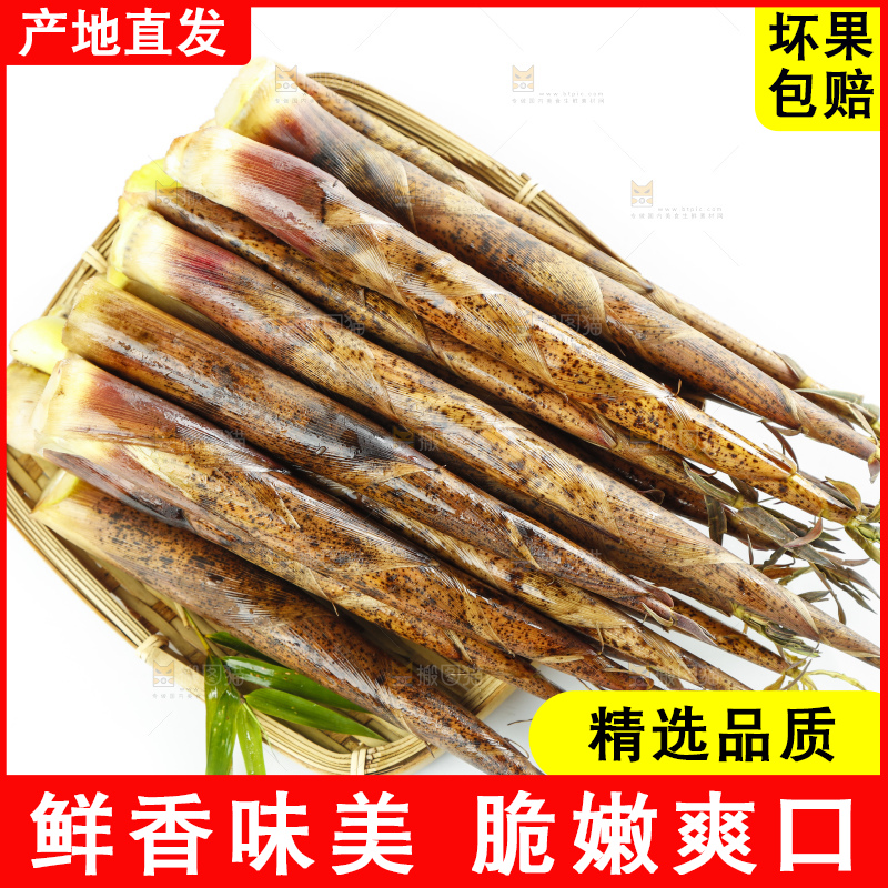 竹篮里面放着竹笋