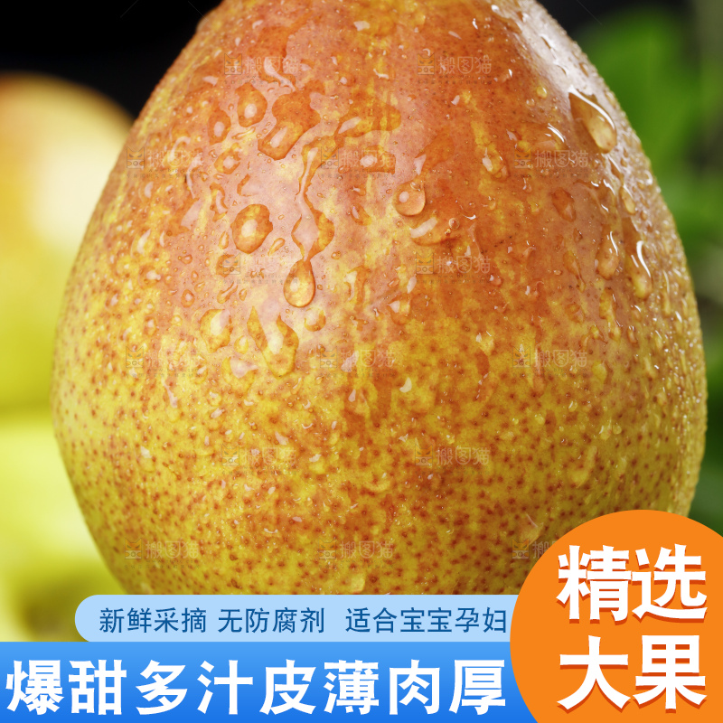 手拿新疆库尔勒新鲜香梨