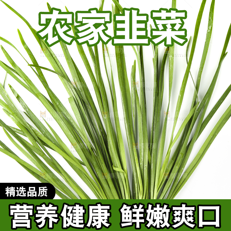 白底上的一把韭菜