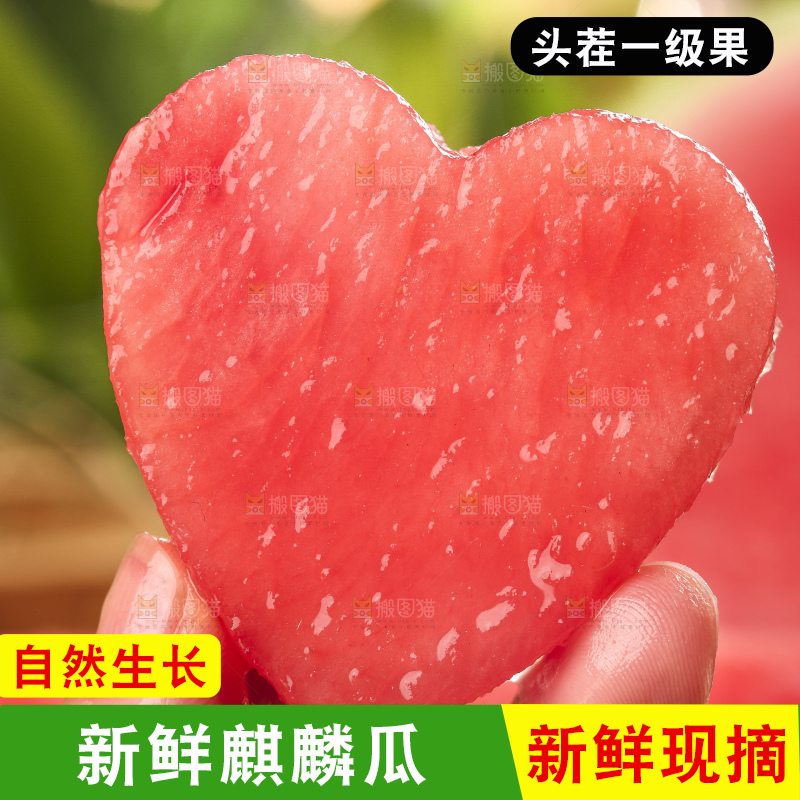 手拿切开的红心西瓜