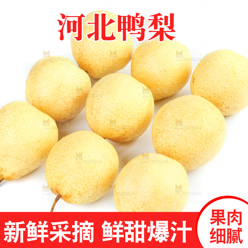 白底上摆放着鸭嘴梨