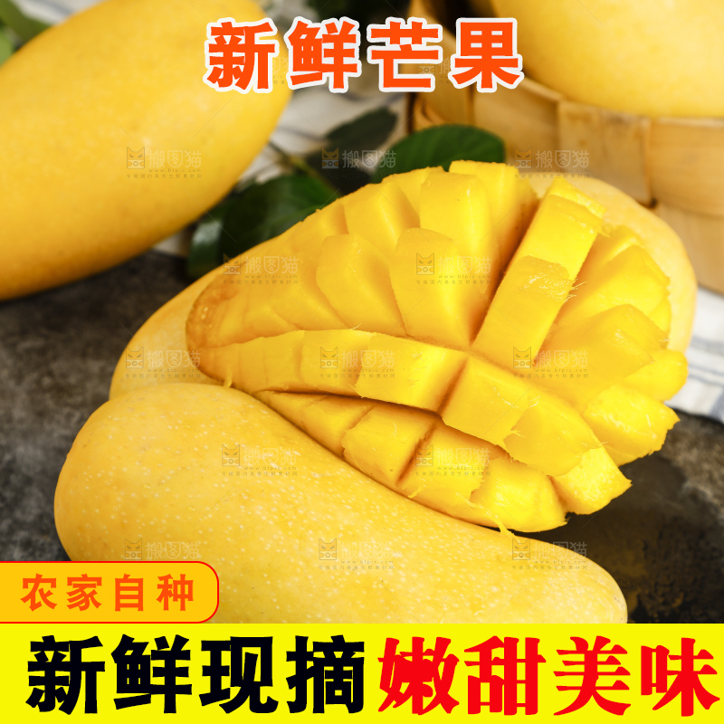 深底上的新鲜金煌芒