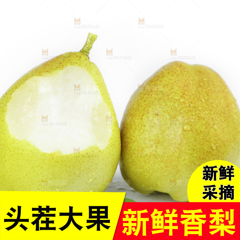 白底上放着新鲜库尔勒全母梨