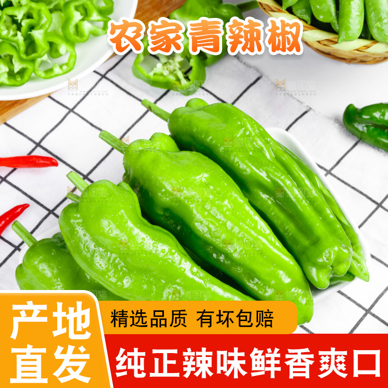 格子底上放着辣椒
