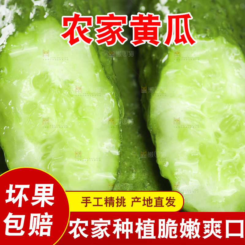 深底上放着切开的新鲜青黄瓜