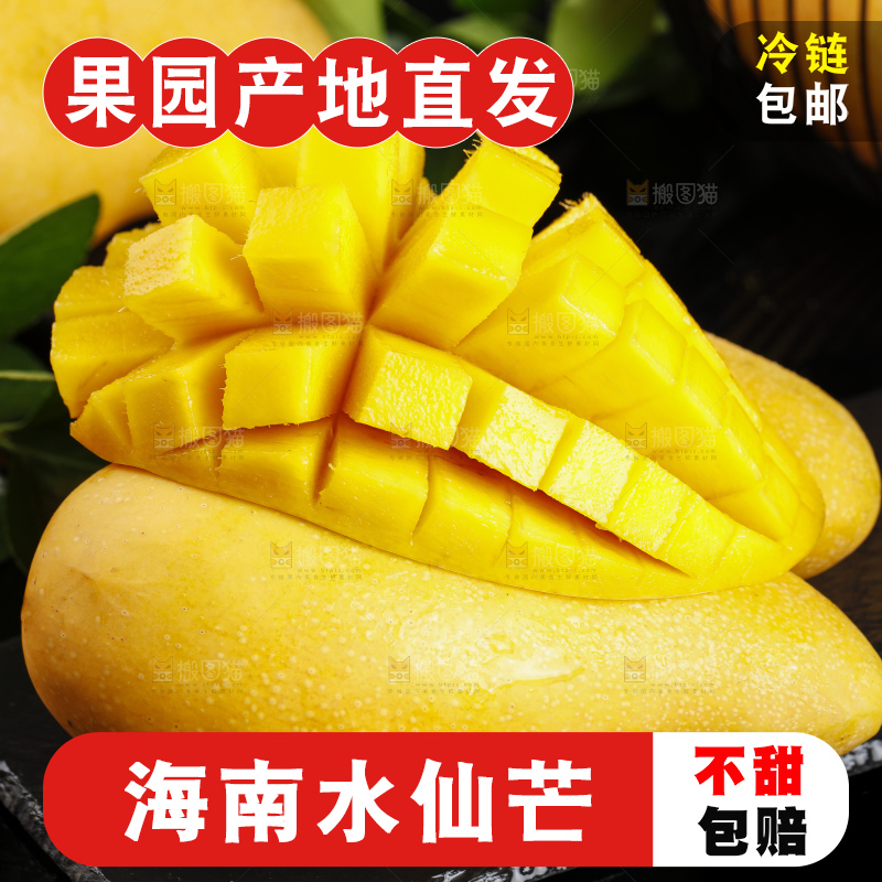 切开的海南金煌水仙芒放在深底上