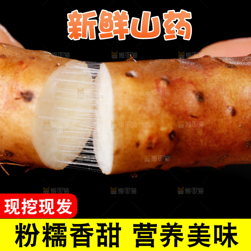 手里拿着小白嘴山药