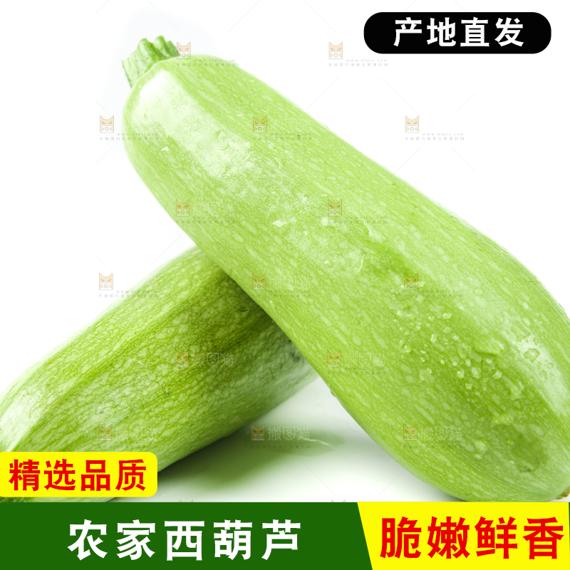 白底上摆放着茭瓜
