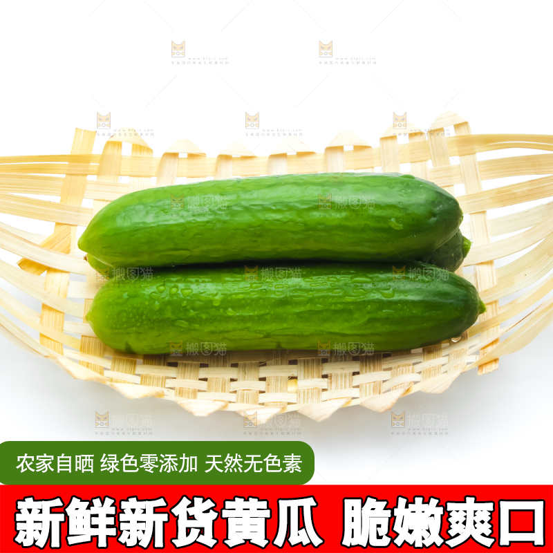 白底上放着山东水果小黄瓜