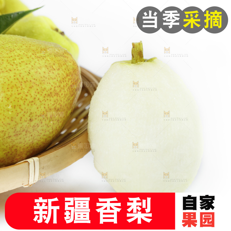 新疆库尔勒香梨放在白底上