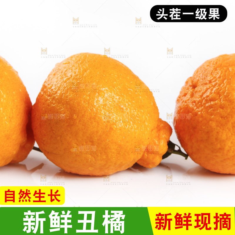 白底上的新鲜丑柑