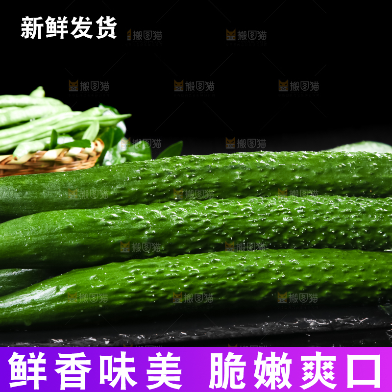 黑底上的新鲜青黄瓜
