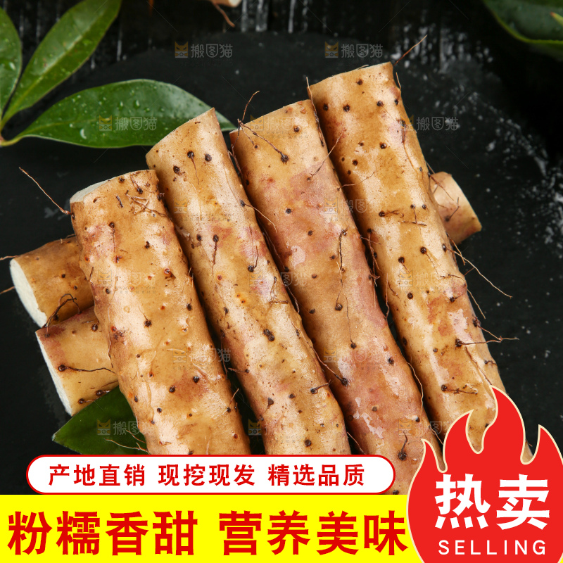 深底上的小白嘴山药