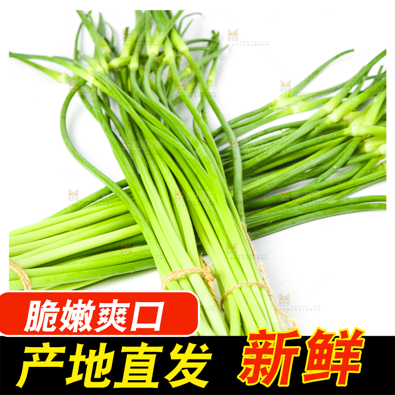 白底上放着新鲜蒜苔