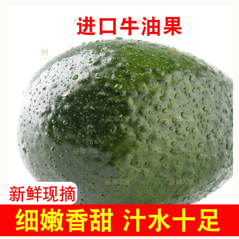 白底上的牛油果
