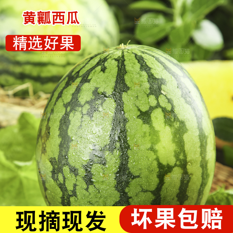 木底上放着特小凤西瓜
