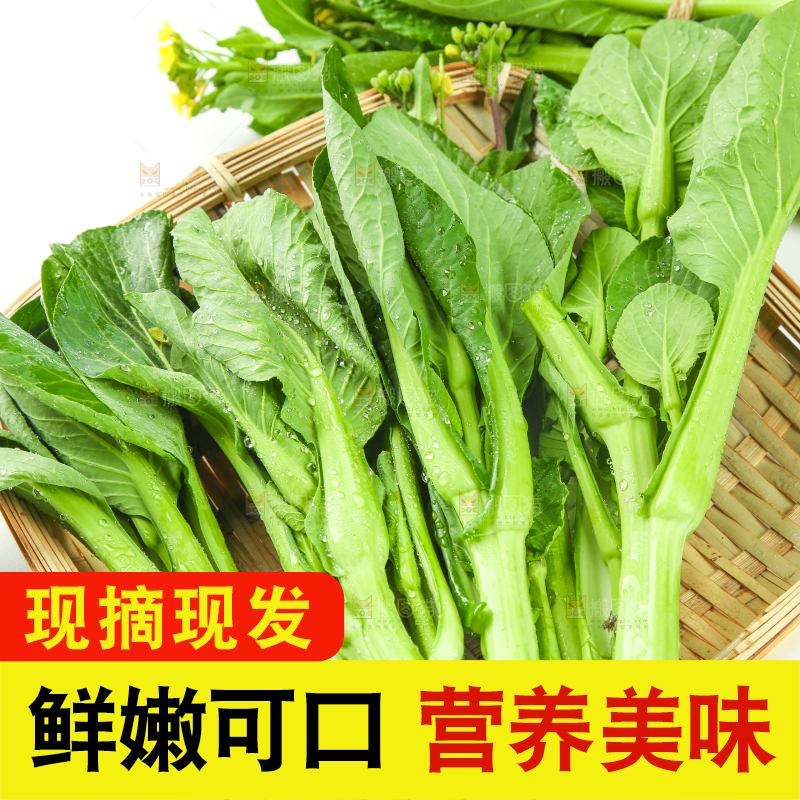 篮子里放着青菜薹