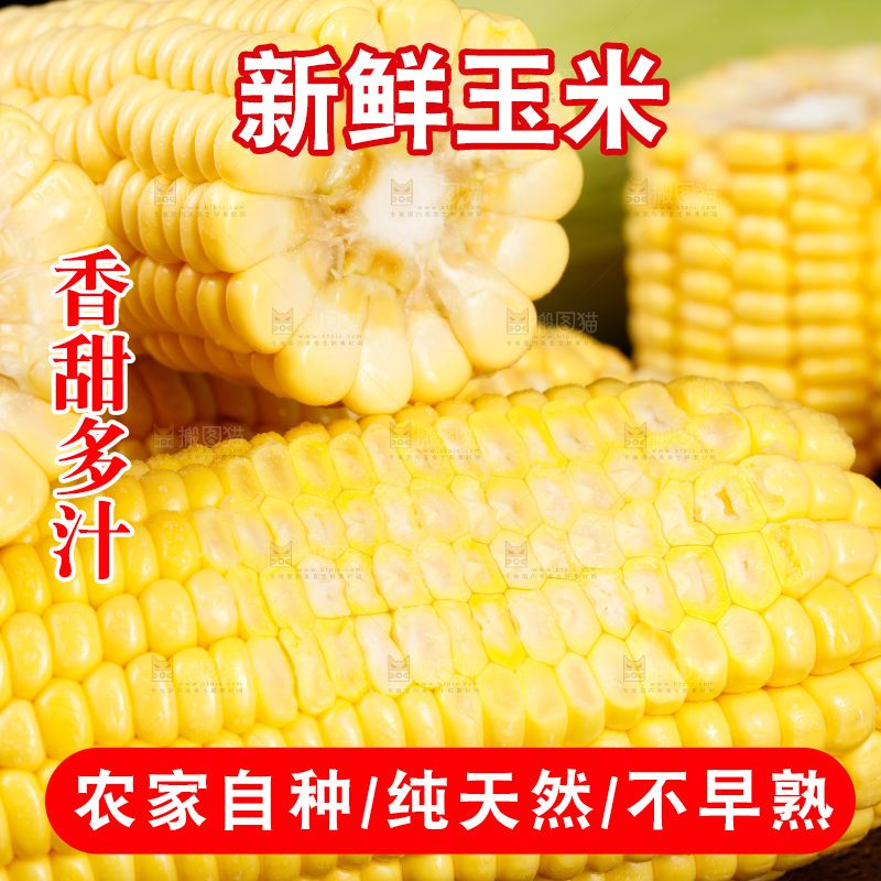 黑底上的玉米棒