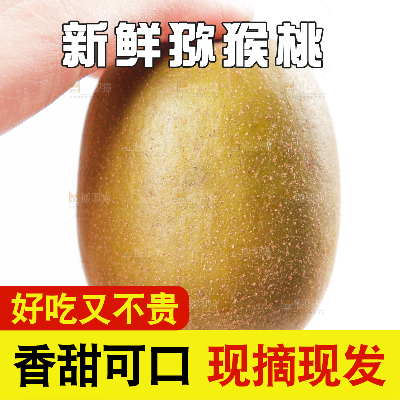 手里拿着四川红心猕猴桃