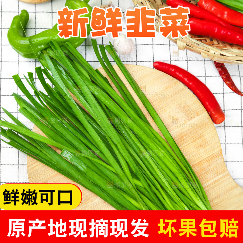 格子底上的鲜嫩韭菜