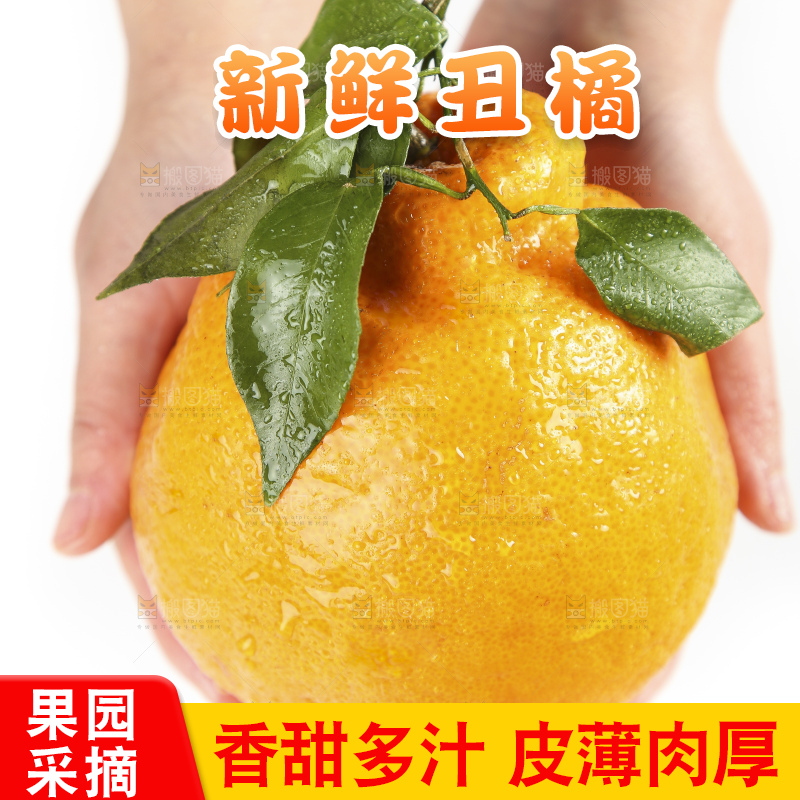 手拿新鲜丑橘