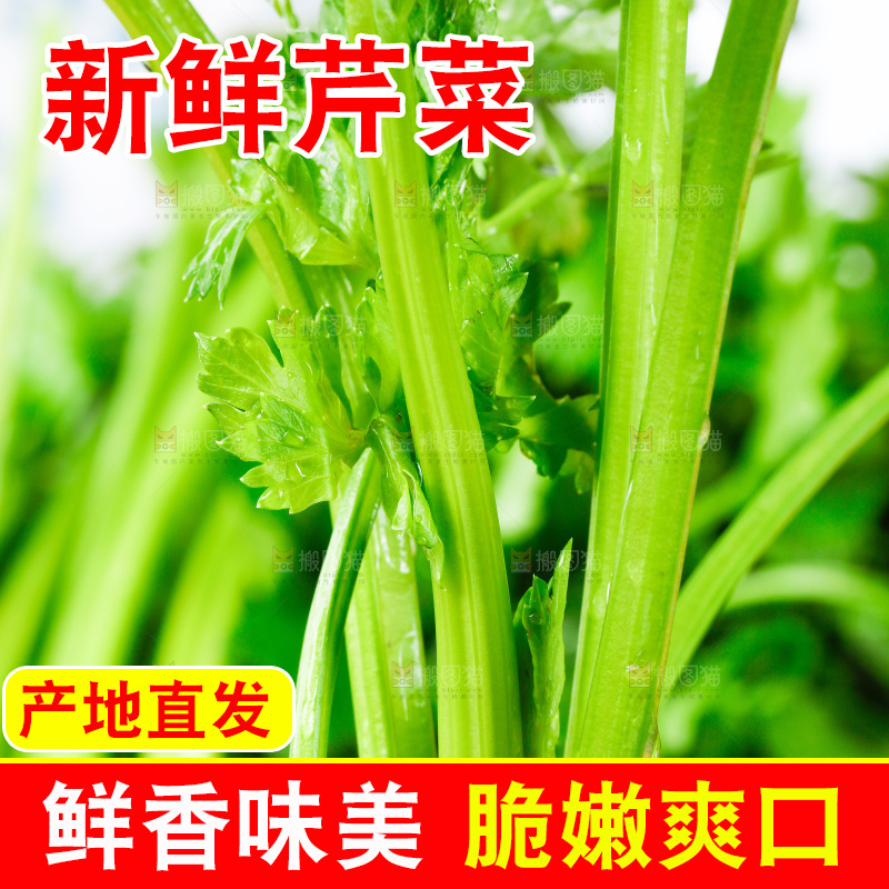 黑底上放着青芹菜