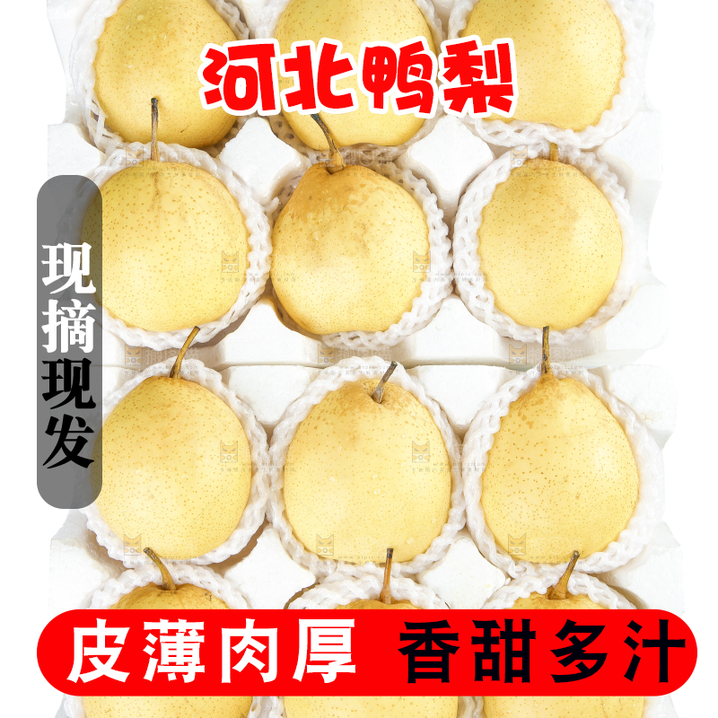 白底上摆放着鸭嘴梨
