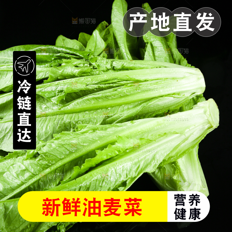 黑底上摆放着油麦菜