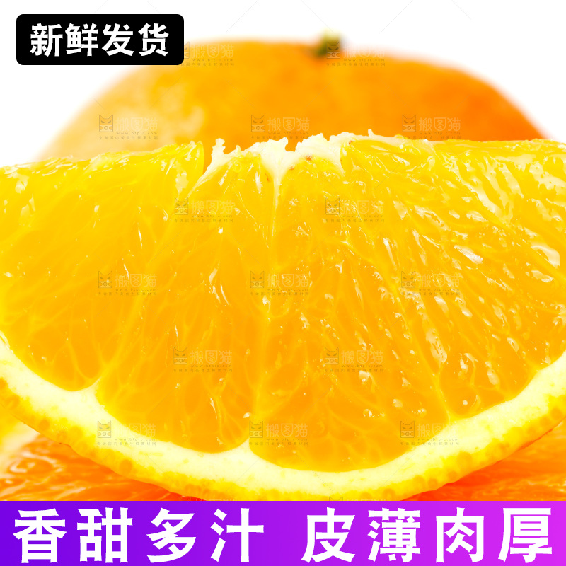 白底上放着新鲜橙子