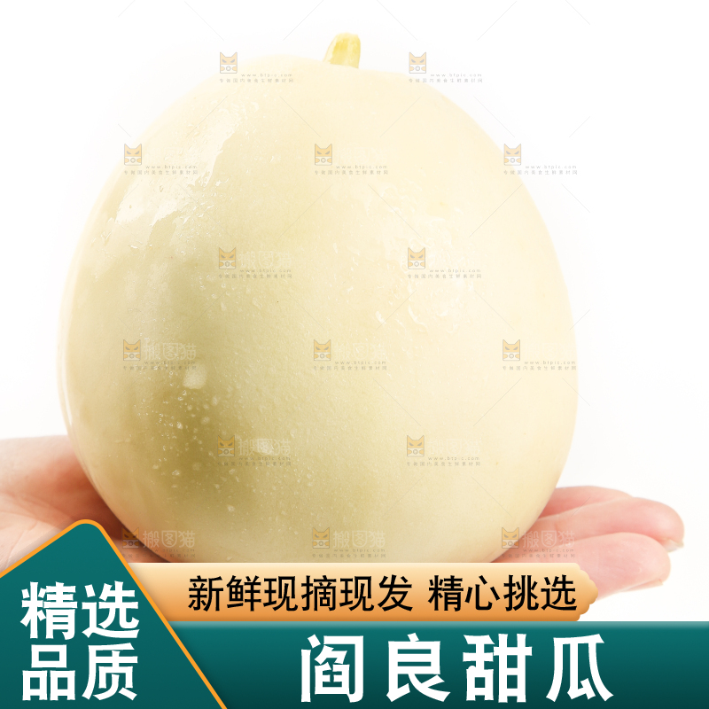 手里捧着的阎良甜瓜