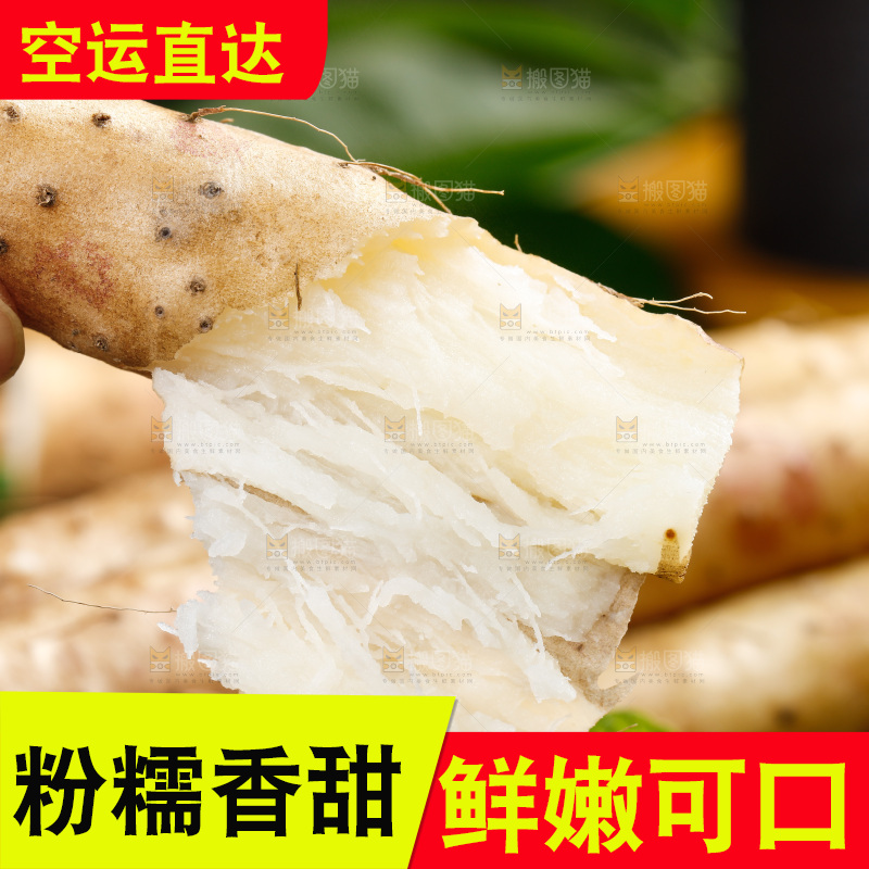深底上摆放着铁棍山药