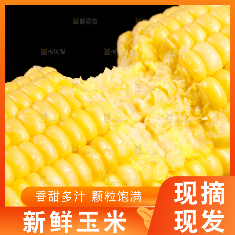 黑底上的玉米棒