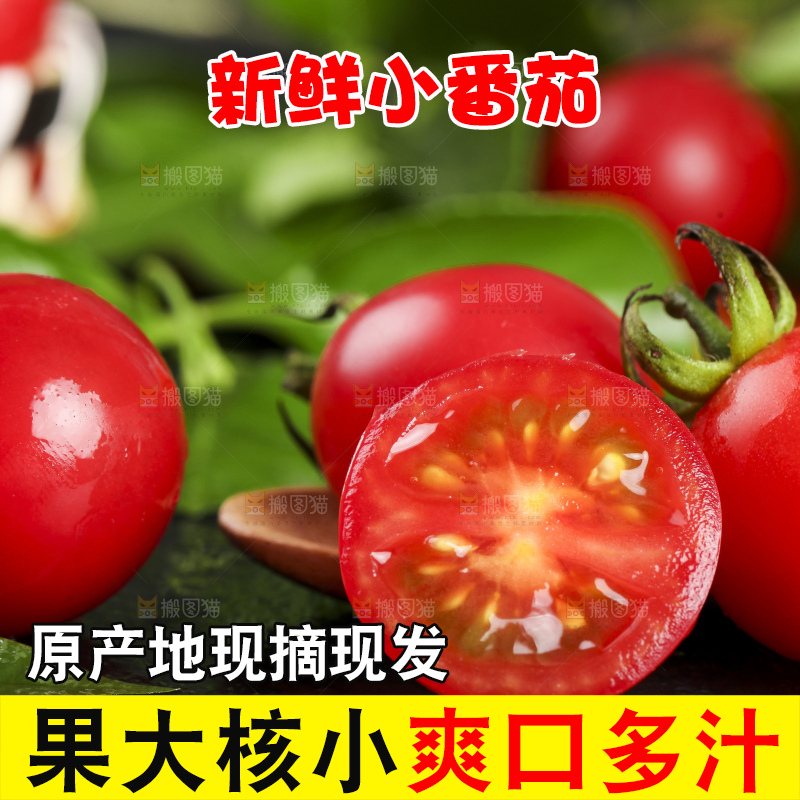 深底上的新鲜高山圣女果