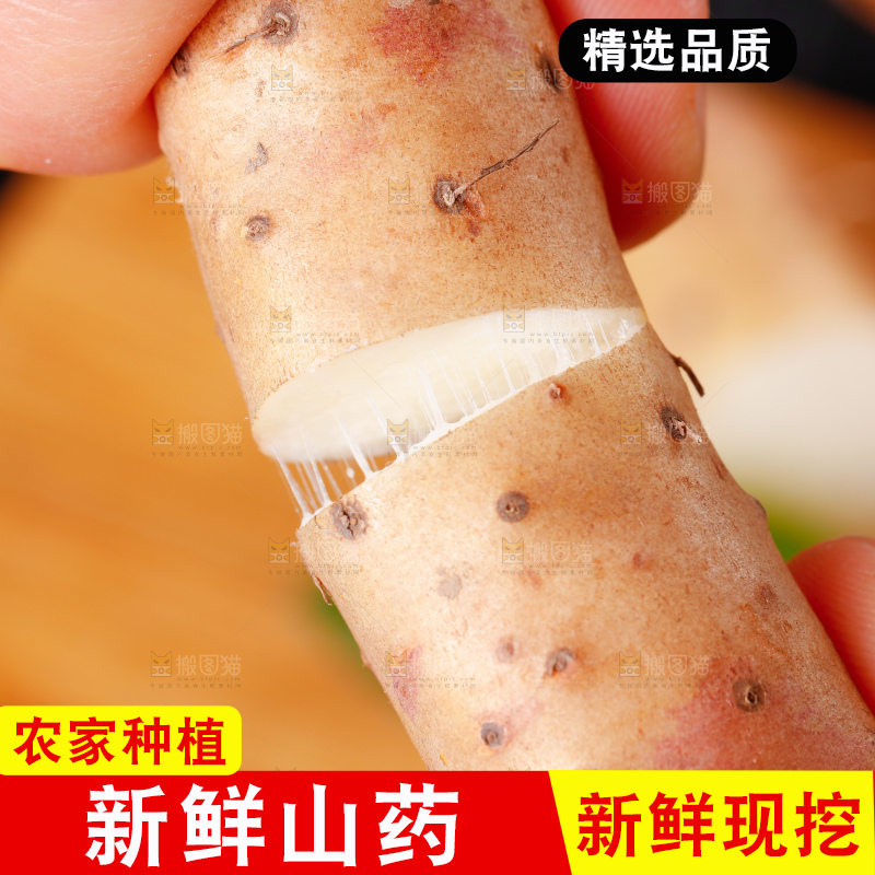 手里拿着小白嘴山药