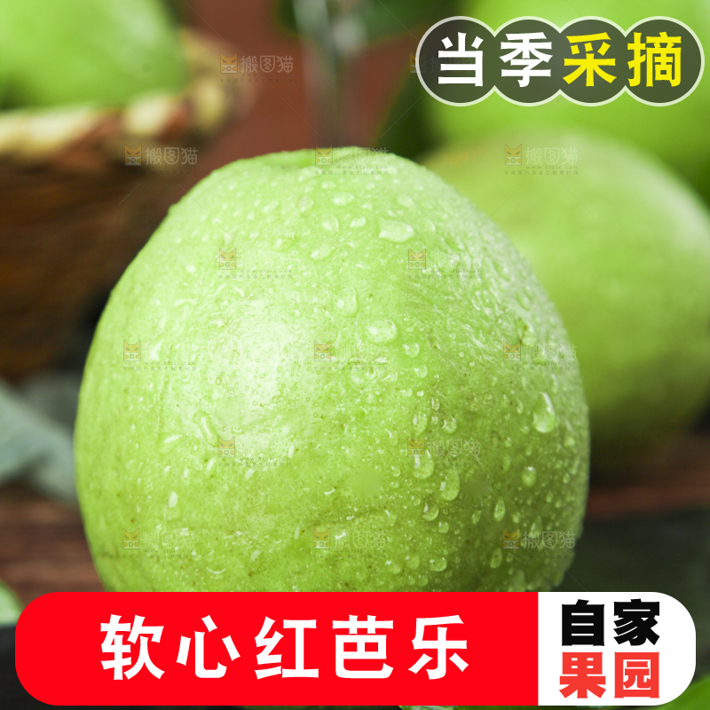 黑底上放着红心芭乐