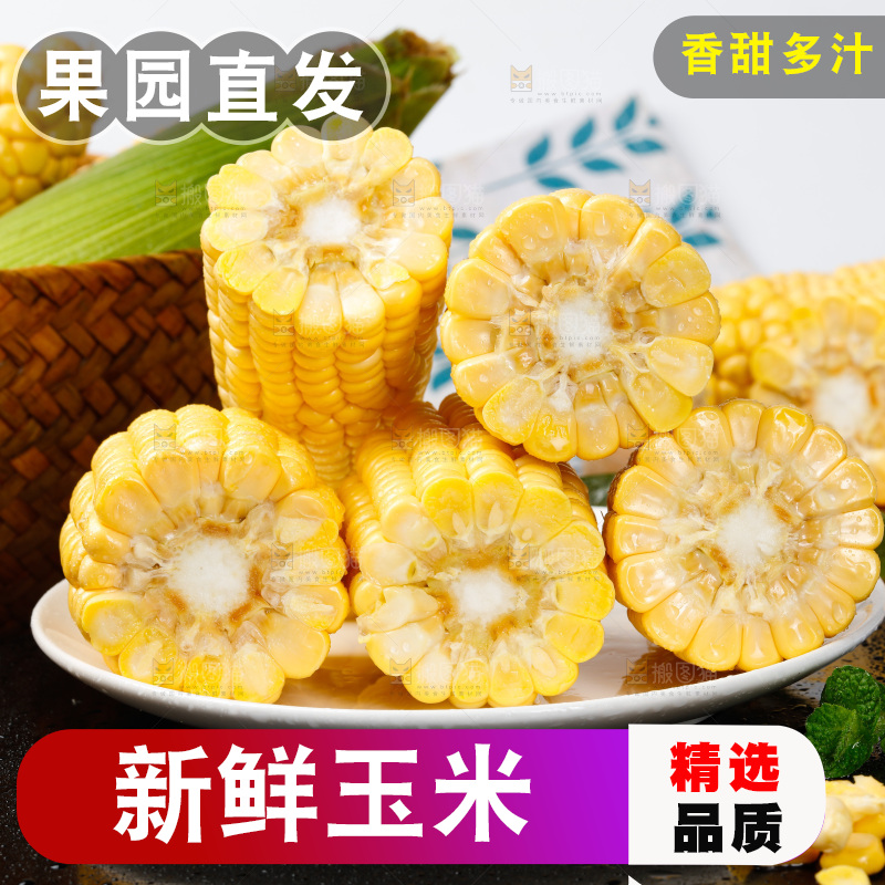 深底上放着黄玉米
