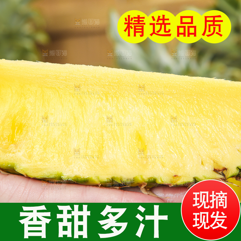 手捧着海南金钻凤梨
