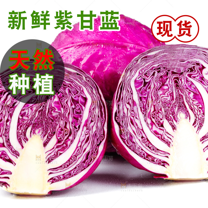 白底上的紫甘蓝