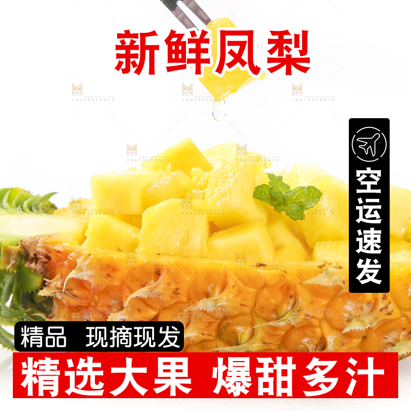白底上的海南金钻凤梨