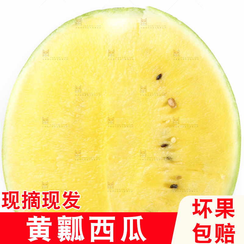 手拿切开的黄瓤西瓜