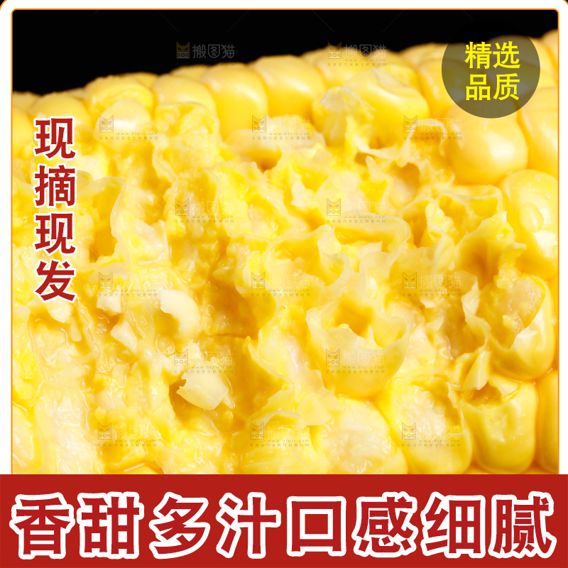 黑底上的玉米棒