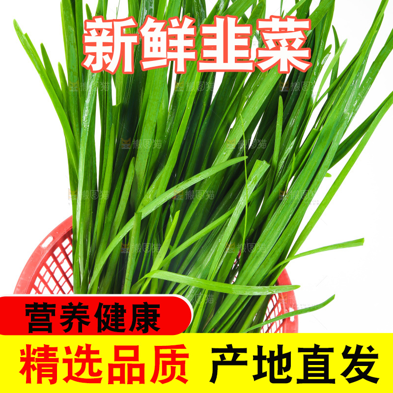 篮子里装着嫩韭菜